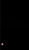 GIF.gif